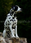 14 Sommer 2010
